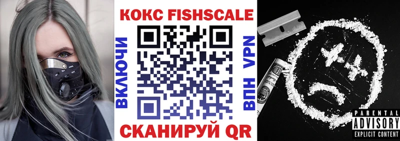 Cocaine Fish Scale  купить наркотик  Иркутск 